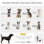 Foldable Pet Stroller
