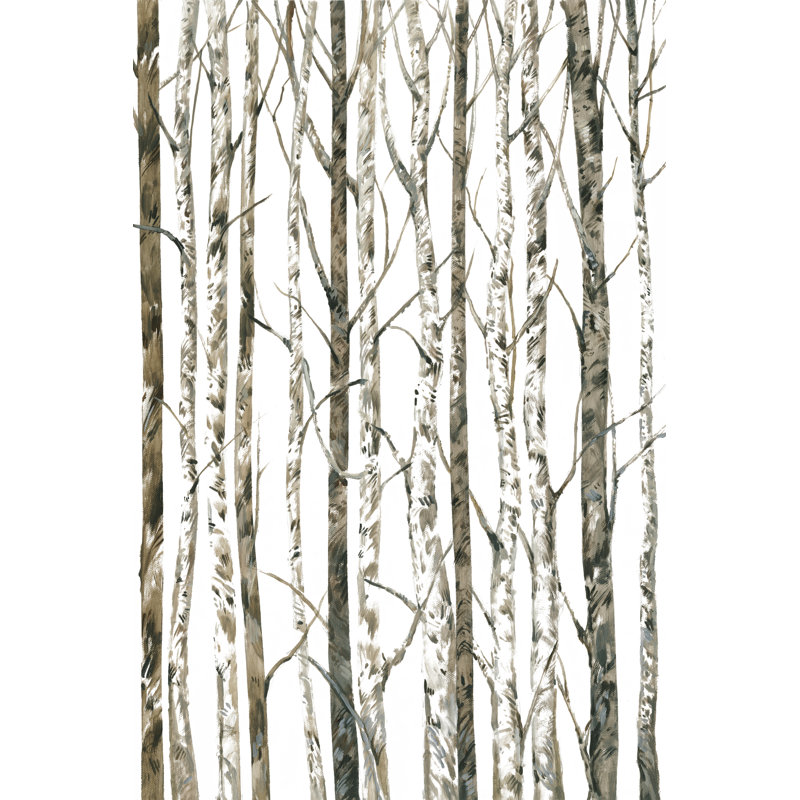 'Bare I' by Timothy O' Toole - Wrapped Canvas Painting Print, 30cm H x 20cm W, Wrapped Canvas