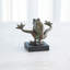 Leap Frog-Verdi