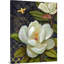 «Heirloom Magnolia» sur toile noire-448915492-448915495
