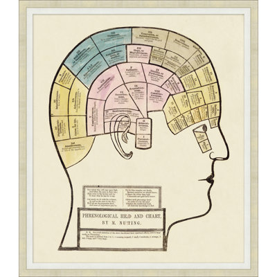 " Brain Chart "