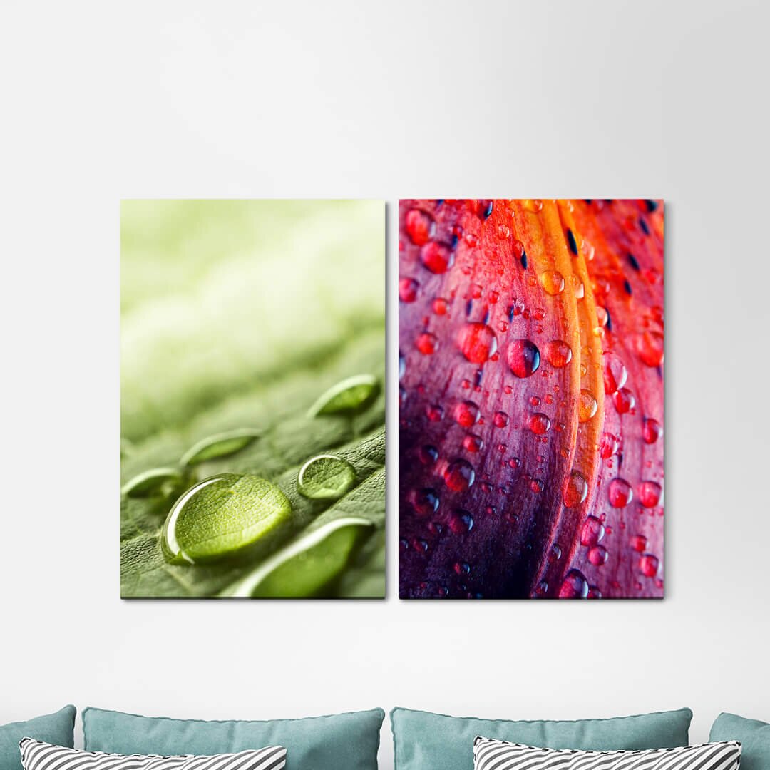 2-tlg. Leinwandbilder-Set - Fotografie „Raindrops Green Leaf Blossom Refreshing Invigorating”