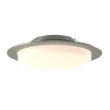 Oceanus 2 - Light 16.5" Semi Flush Mount