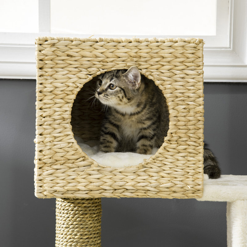 Arbre à chat tissé en forme de quenouille pour la tour de chats d'intérieur avec condo et lit
