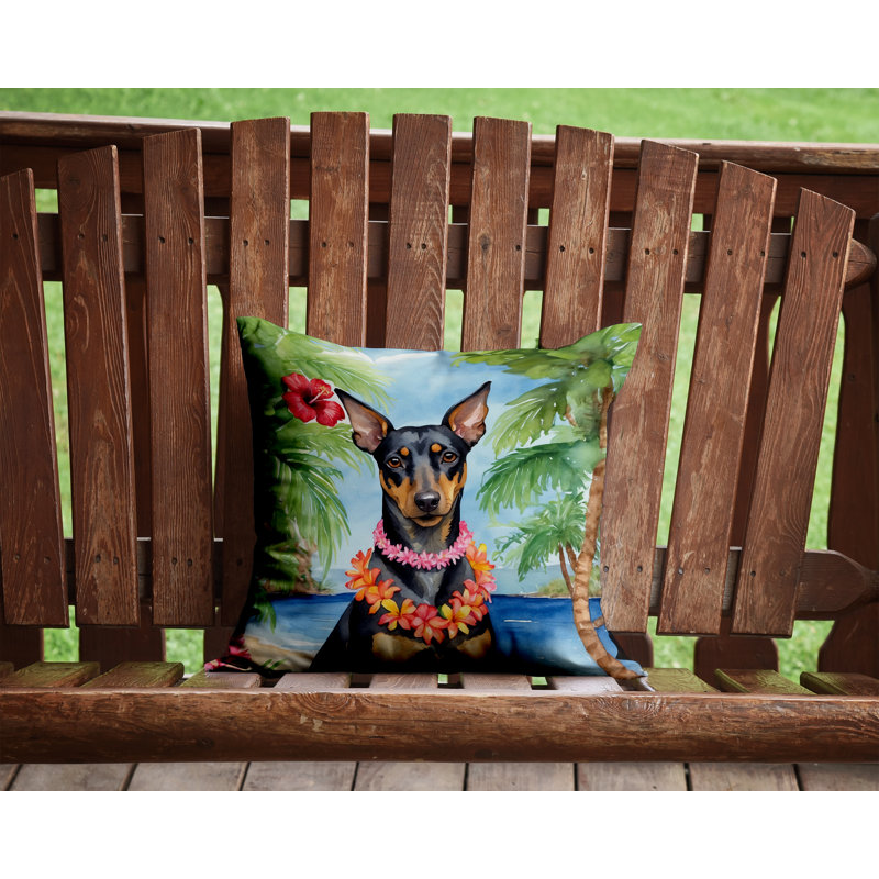 Other/No Pattern Outdoor Throw Pillow, 14" H x 14" W
