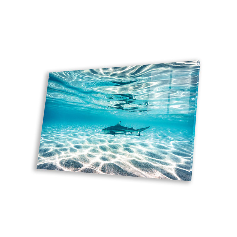 Requin sous-marin sous l'eau - Image sans cadre