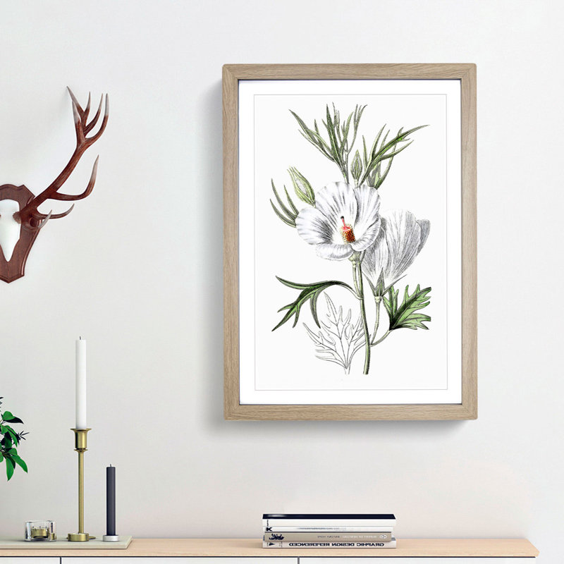 White Hibiscus Flowers - Framed Print, 36cm H x 27cm W x 2cm D, Oak Framed