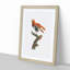 A King Bird Of Paradise by Jacques Barraband - Single Picture Frame Painting-55453503-55453507