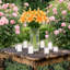 Nappe Lace