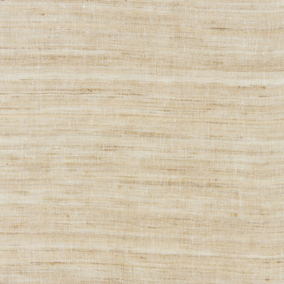 Modern Luxury Tussah Sheer Fabric