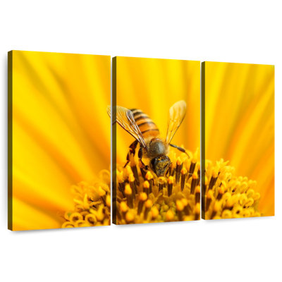 Harnek Sunflower With Bee