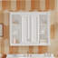 Armoire de rangement pour salle de bain avec 1 tablette réglable, armoire murale avec charnières à fermeture douce