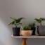 Olio Plain Linen Texture 33' L x 21" W Wallpaper Roll-371632223
