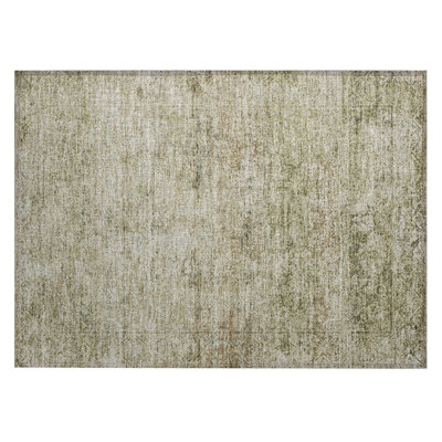 Machine Washable Indoor/Outdoor Xhevrie Sage Rug