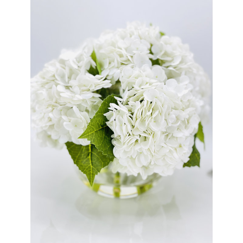 Véritable hydrangée dans un vase, Blanche