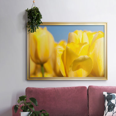 " Sunshine Yellow I "
