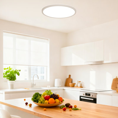 2 Pack 2400LM LED Flush Mount Ceiling Light, 24W, Dimmable, 5000K Daylight, Ultra-Thin, 12 Inch, Modern Round Lighting Fixture for Kitchen Bedroom Hallway Laundry Room