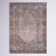 Dicken Oriental Indoor Rug
