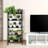 Hasnath Ladder Bookcase-2016684696-2016684700