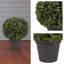 Ensemble de 2 buis artificiels Pure Garden