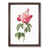 Walnut Framed selected