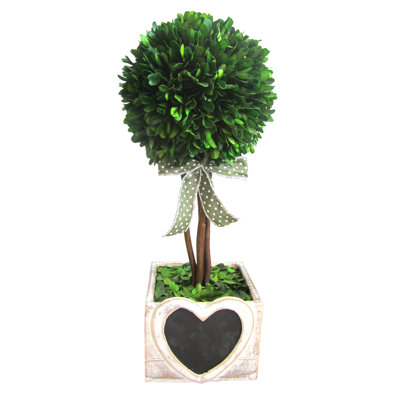 9.8 " H Faux Boxwood Topiary