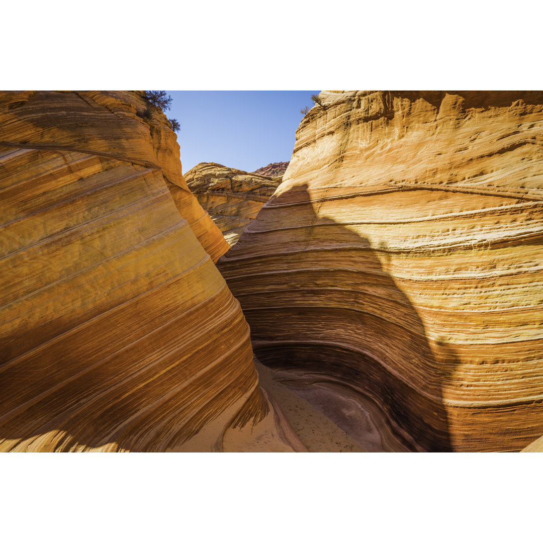 Slot Canyon Through Golden Desert Strata Wilderness The Wave Arizona by FotoVoyager - No Frame Set on Canvas