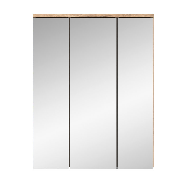 Hanieh 770cm H x 600cm W Wall cabinet Mirrored cabinet