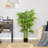 Indoor/Outdoor/Décor Artificial Bamboo Tree Faux Bamboo Tree Plant in Pot in Basket in Planter