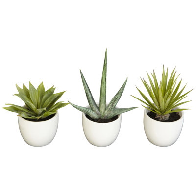 Southwest Collection Silk Agave Plant Set