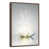 Floating Frame Walnut