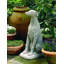 Greyhound Statue-13915878
