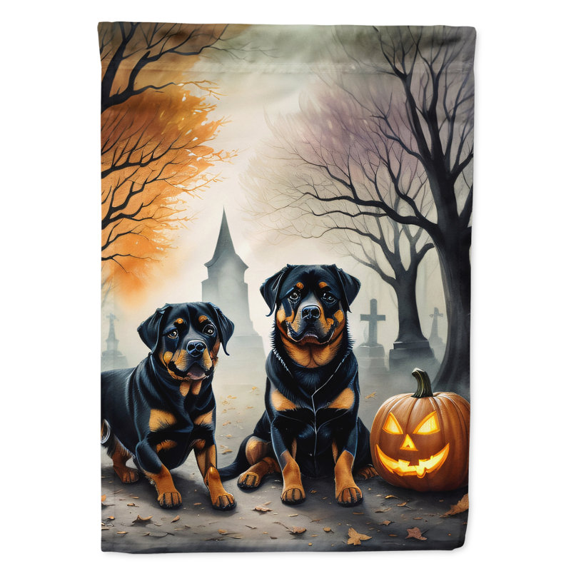 Double Sided 40'' H x 28'' W Polyester Halloween House Flag