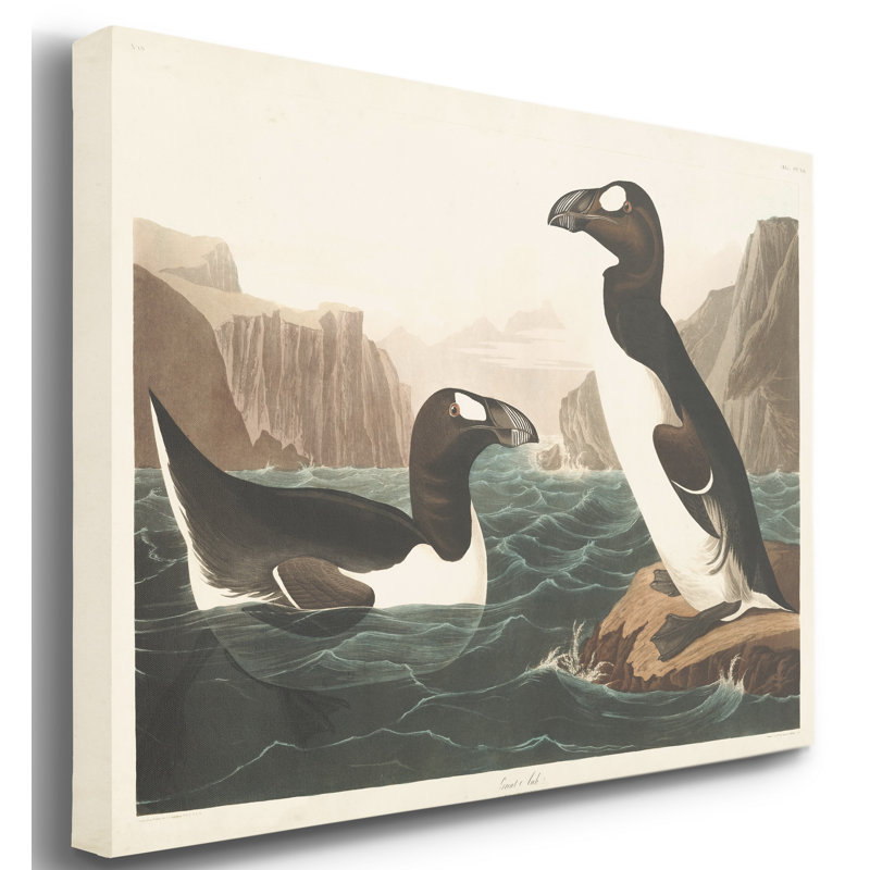 « Pl 341 Great Auk », reproduction d’art sur toile tendue, H 48 po x l 32 po x P 1 po