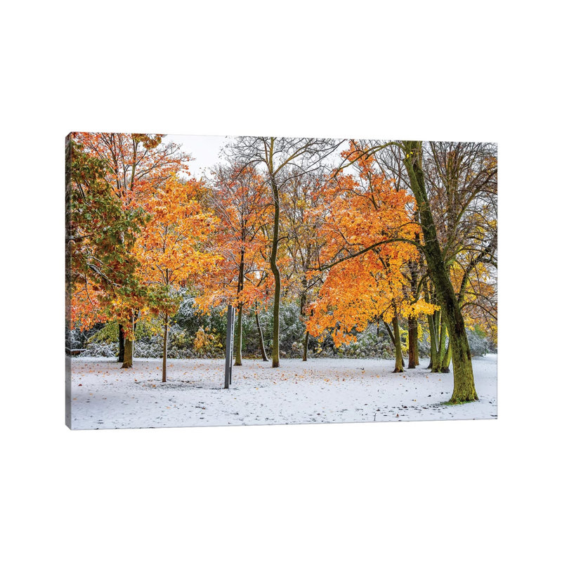 Beauty of Snow 1 Piece Wrapped Canvas Wall Art, 20.32 cm H x 30.48 cm W