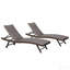 Chaise longue d'extérieur en osier 2 pièces