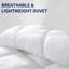 All Season Hypoallergenic Down Alternative Filled Duvet-801108191