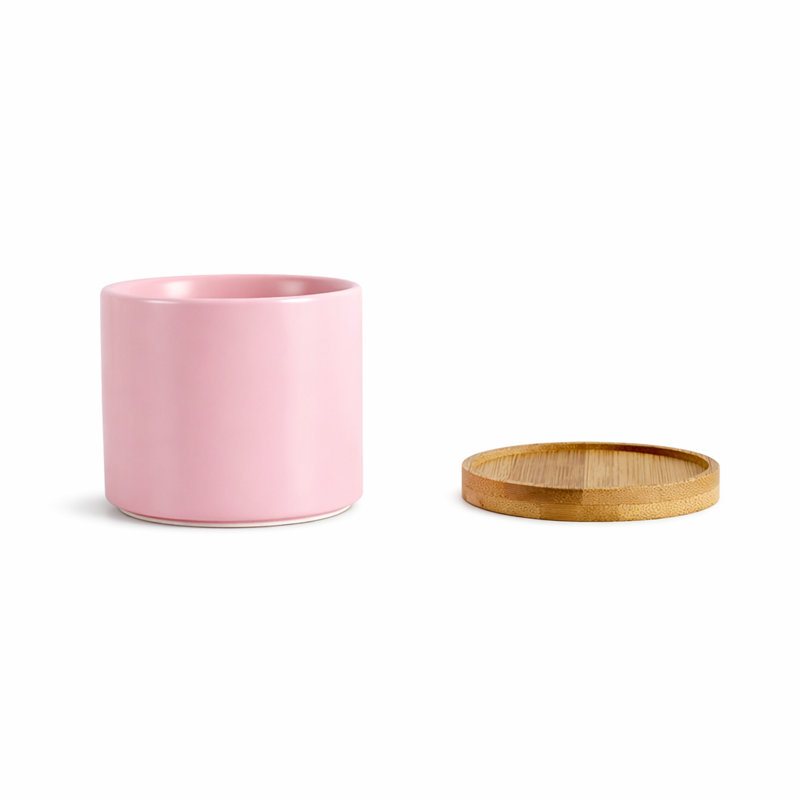Zelal 2-Piece 4.5" Ceramic Pot Planter Set, Pink