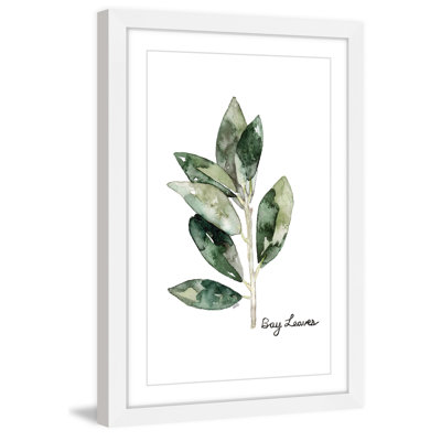 « herb bay leaves »-cadre photo imprimé sur papier