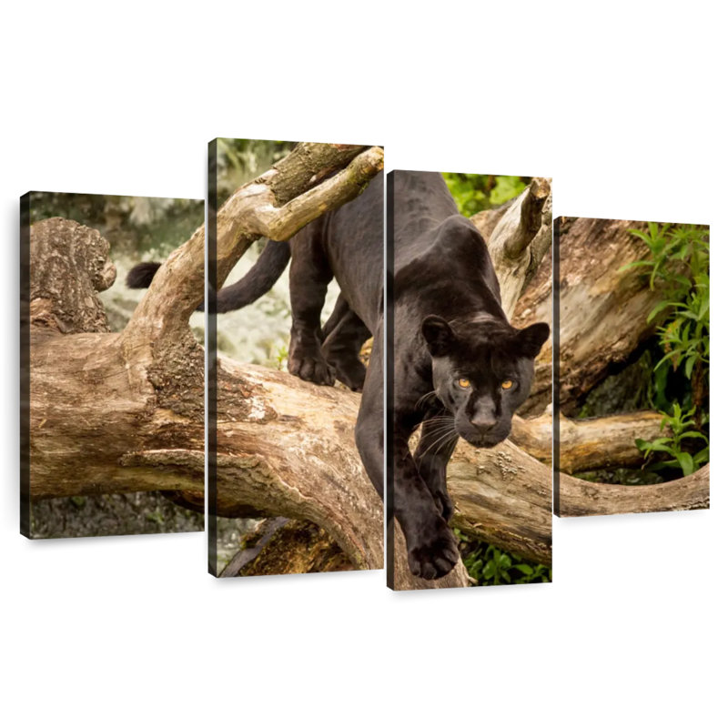 Brampt Prowling Black Jaguar, 27"H x 43"W