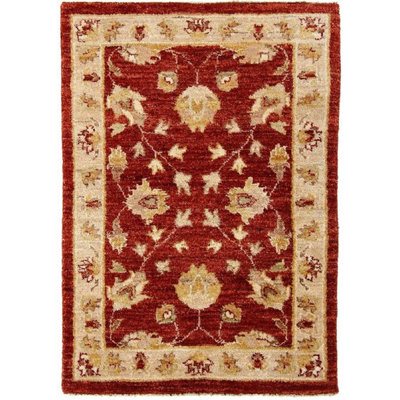 Rectangle 62 cm x 95 cm Oriental Cotton Hand Woven Area Rug