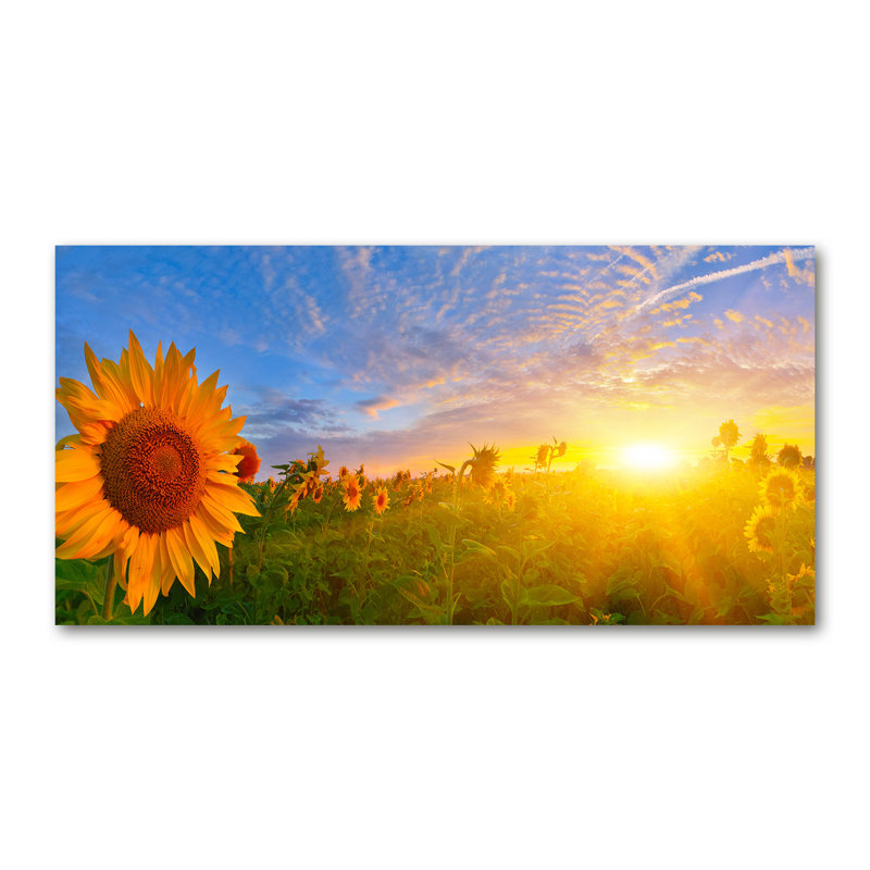 Field Of Sunflowers - Wrapped Canvas Print