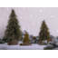 Otterson Tabletop Tree