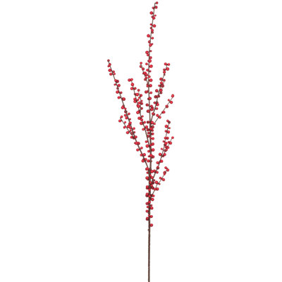Kathreen Berry Arrangement