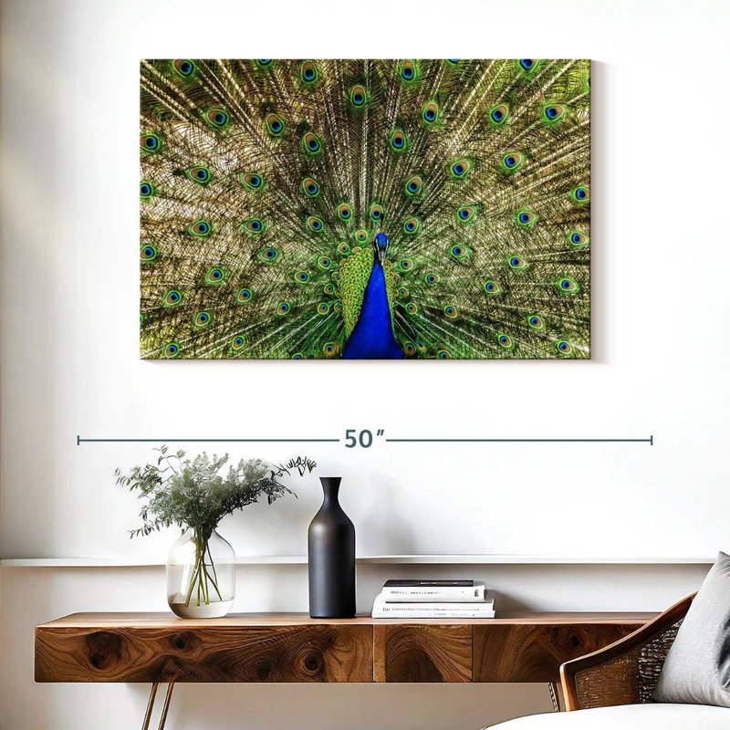 Crowle Majestic Peacock Display, 26" H x 39" W