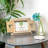 Nicola Spring - Rustic Shutters Photo Frames - 6 x 4"-50946756