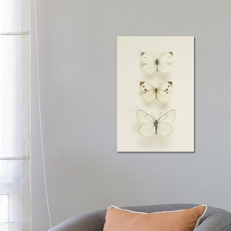 Three Butterflies by Alyson Fennell - Wrapped Canvas Print, 66.04 cm H x 45.72 cm W x 1.91 cm D