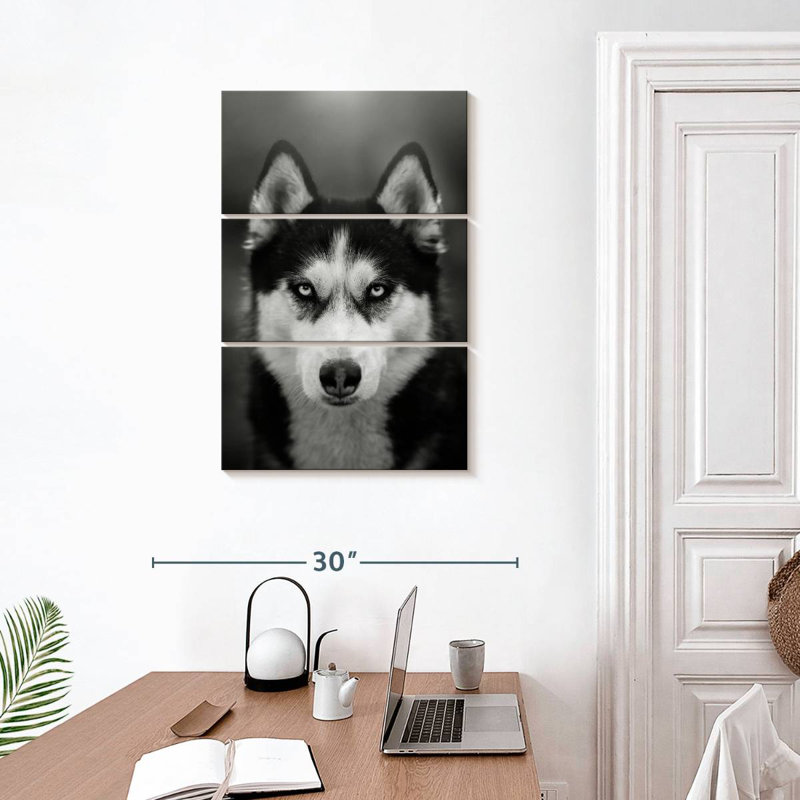 Brampt Serious Siberian Husky, 32" H x 20" W