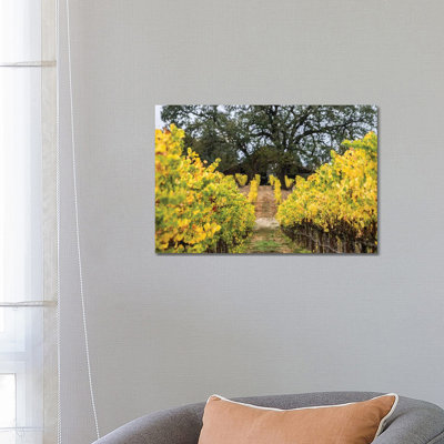 Autumn Vineyard by Heather Roberson - Wrapped Canvas Print