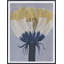 Yellow Cap Print by Morlock, Jody-558113801-558113806